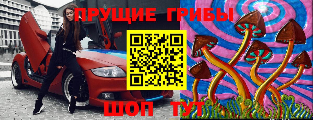 Псилоцибиновые грибы Psilocybe Долгопрудный