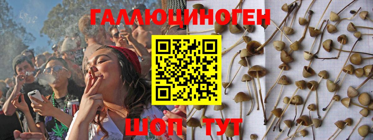 купить наркотик  Вход с VPN  Долгопрудный  Галлюциногенные грибы Magic Shrooms 